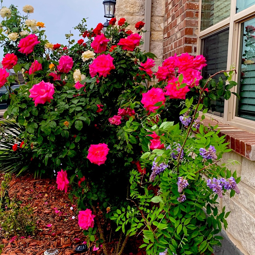 Meet your Posher, Jose